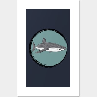 Artwork of a Great White Shark II Posters and Art